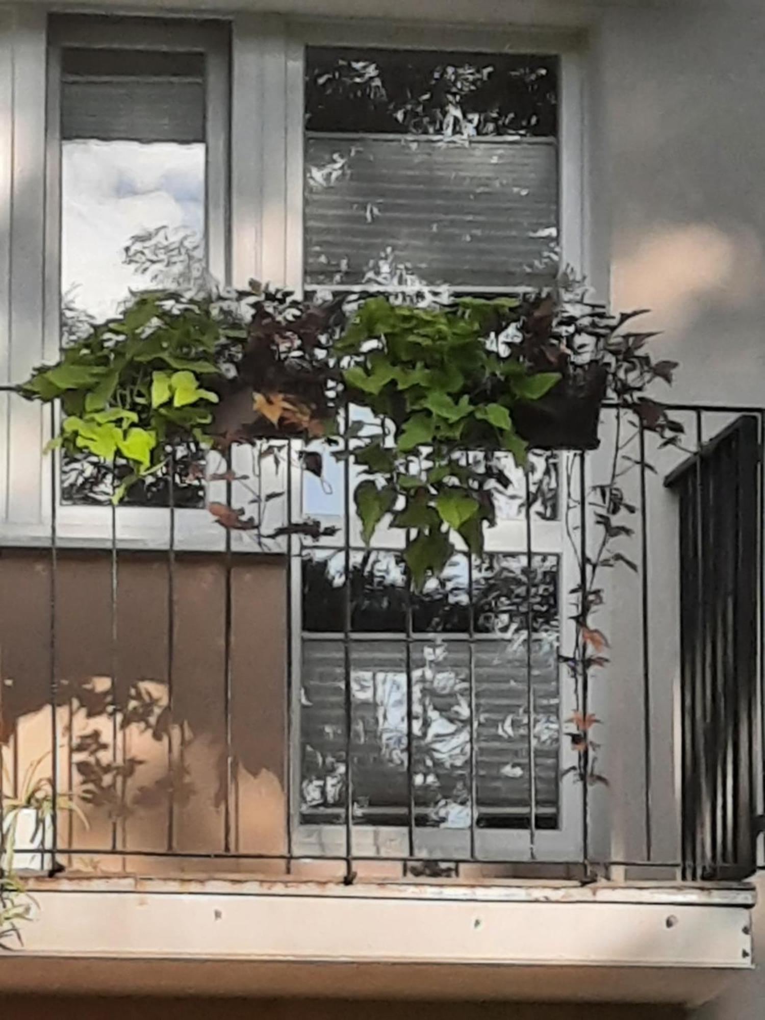Apartament Jak W Domu #N/A Exterior foto