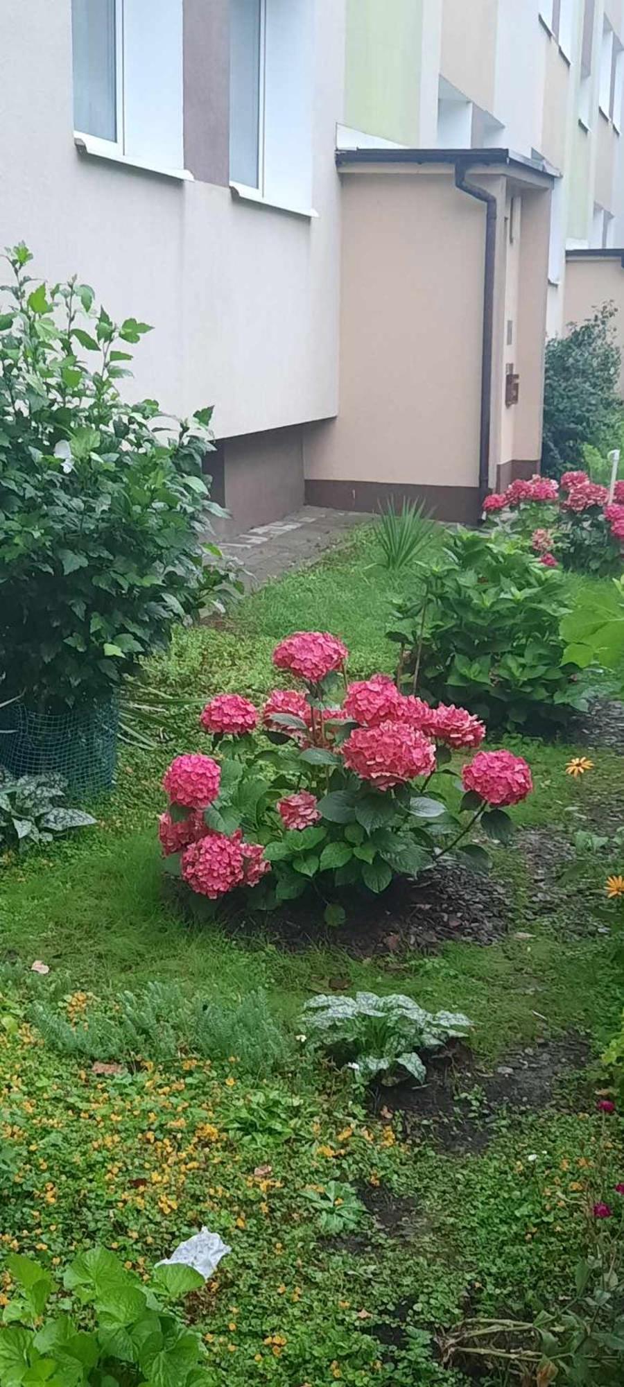 Apartament Jak W Domu #N/A Exterior foto